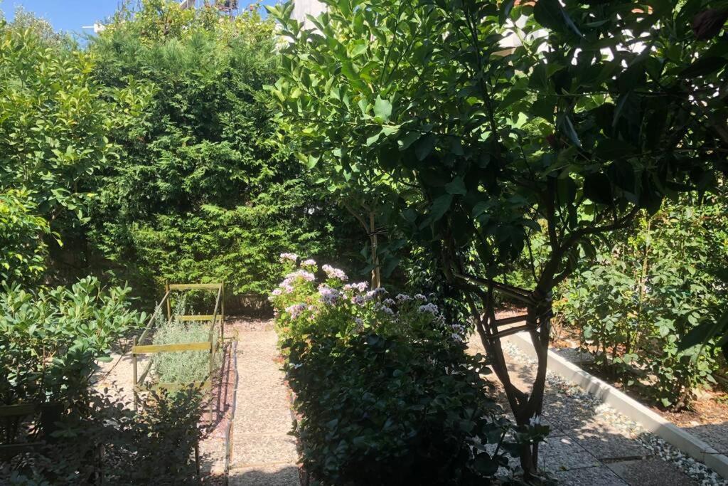 Ανακαινισμενη Μονοκατοικια 125 Τμ Στο Κεντρο Με Κηπο Vila Mesolóngion Exterior foto